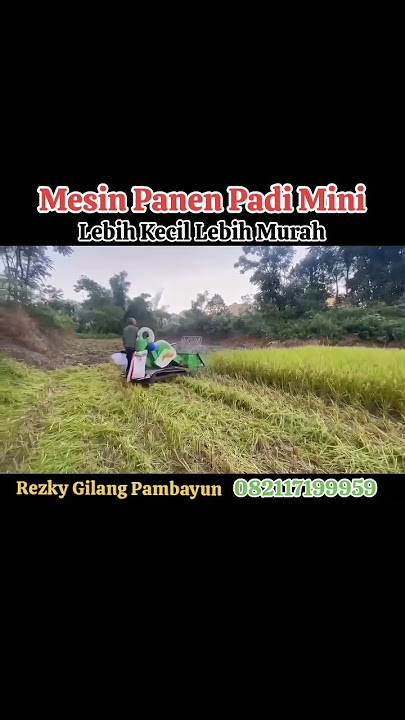 Mesin Panen Padi Mini Makin Kecil Makin Murah Peluang Usaha Juragan Sawah Desa Kampung Bumdes