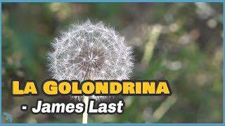[4K] James Last - La Golondrina 1968