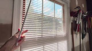 Calyx Cordless Vinyl Blinds Review