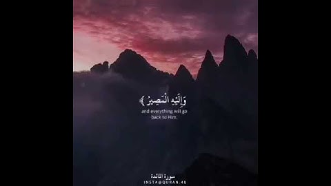 قرآن كريم || حالات واتس ||🍁💜تلاوة خاشعة بصوت هادئ وجميل سورة المائدة