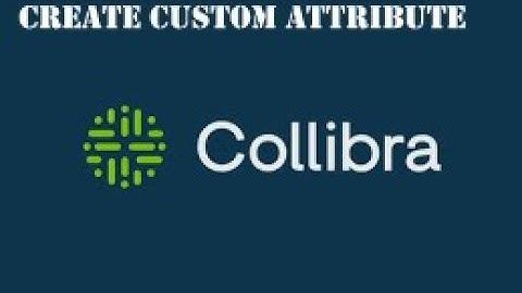 How to create customized attributes in Collibra
