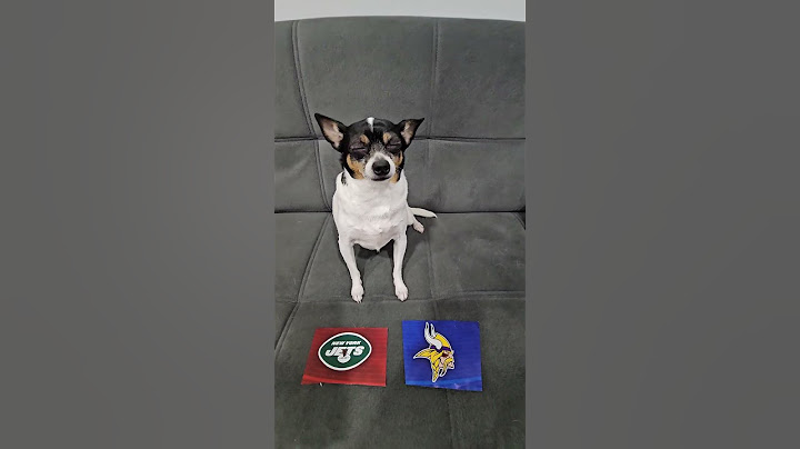 Jets vs Vikings #nfl #nflfootball #nflpredictions #week5 #newyorkjets #minnesotavikings #dog