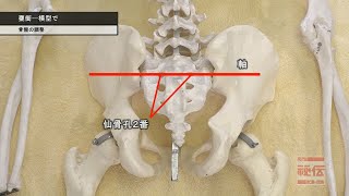 中山隆嗣先生【骨盤の歪みの直し方】腸骨が腹部側に傾いている場合