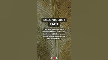 The fossil record | #paleontology #facts