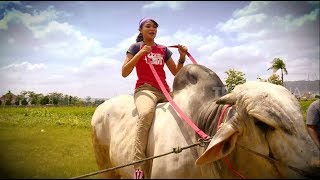 JEJAK PETUALANG | MERBABU TAK HILANG PESONAMU (29/10/18) Part 2