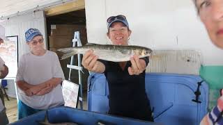 Cortez Commercial Fishing Festival Highlights 2024