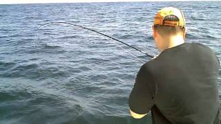 Shore Catch Guide Service