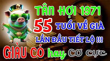 Tân Hợi 1971 từ 55 tuổi về già: GIÀU CÓ hay CƠ CỰC | Bí Mật Hậu Vận, Lần Đầu Được Tiết Lộ !!!
