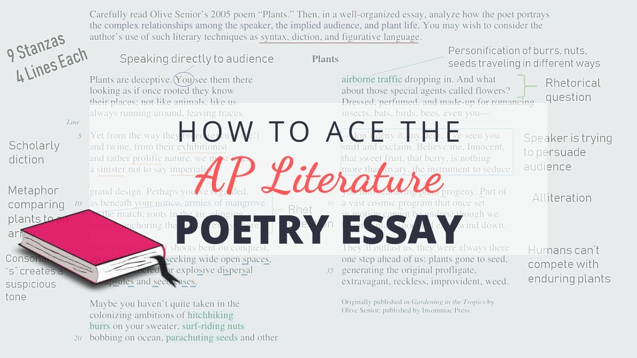 tips for ap lit prose essay