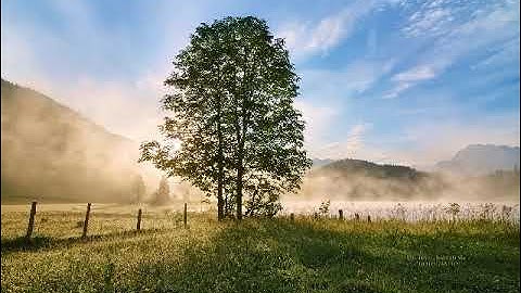 سورة قريش بصوت القارئ عبد الفتاح الشعشاعي