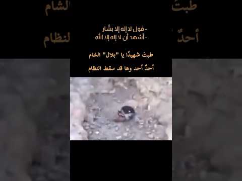شاهد بصمت ماذا يفعلون جنود النظام السوري قل لا اله الا بشار حسبي الله ونعم الوكيل فيهم سوريا لبنان
