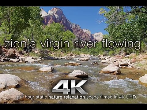 4K NATURE SCENE: Zion's Virgin River Flowing - a Fixed-Angle Relaxation Video Screensaver