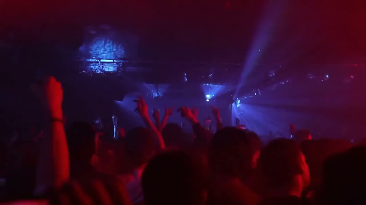 DJ Roy - Your Love (Official Music Video)