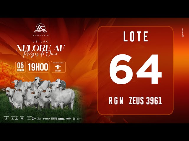 LOTE 64
