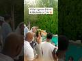 POV DJ For K MichelleрџЋ рџ Ї Shorts Kmichelle Djaladdin Shorts Trendingshorts Explore Short Fy POV DJ For K MichelleрџЋ рџ Ї Shorts Kmichelle Djaladdin Shorts Trendingshorts Explore Short Fy