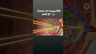 #HumanEye #Retina #EyeStructure #Class10Science #ScienceAnimation #NCERTScience #Biology