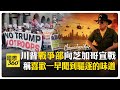 美國國內抗議活動