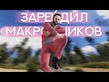 Зарейдил клан макросников. Rust