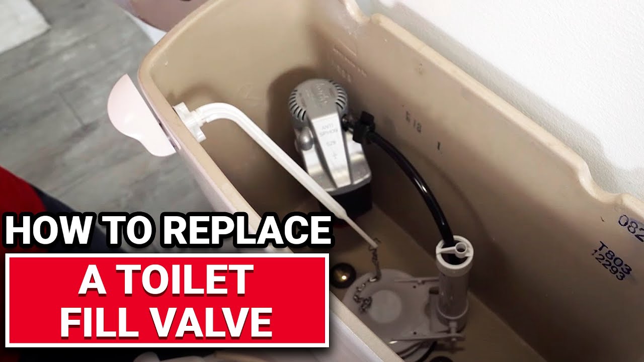 How To Replace A Toilet Fill Valve Ace Hardware YouTube