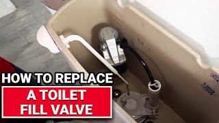 How To Replace A Toilet Fill Valve  Ace Hardware