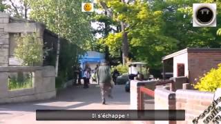 Супер приколы от ГАИ)) Ржач!! Свежак!! Смотреть всем))) Октябрь 2013 Супер приколы от ГАИ)) Ржач!! Свежак!! Смотреть всем))) Октябрь 2013