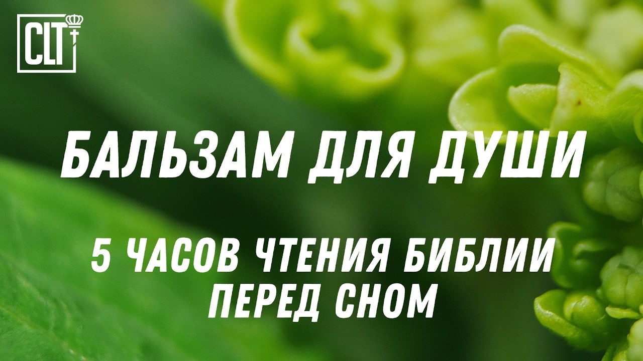 Мирный сон после прослушивания Библейских стихов #БожьеСлово