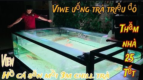 Thăm tiệm cầm đồ phát hiện hồ cá săn mồi 3mét siêu khủng - Thái Salem vê lốc