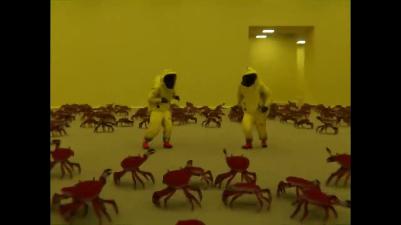 Crab rave 10 часов. Танец крабов танцев. Танцующий краб. Танец краба. Крабики танцуют на пляже.