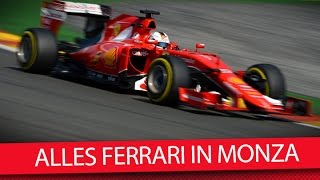 Ferrari-mania! top-themen vor monza ...