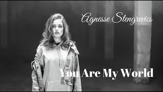 Watch Agnese Stengrevics You Are My World video