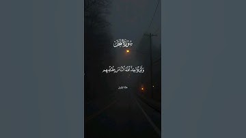 ولو يؤاخذ الله الناس بظلمهم ما ترك عليها من دابة - سورة النحل - خالد الجليل