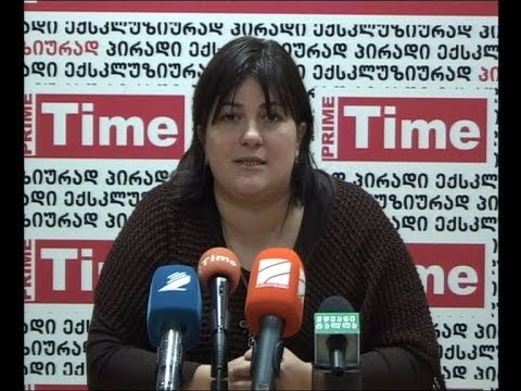 ნინო ჭანიშვილის პრესკონფერენცია 23.10.2013