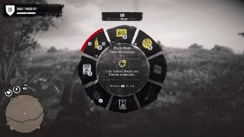 RDR2 Online 1st Defend Campsite