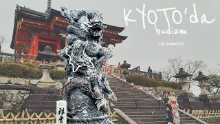 JAPONYA vlog 5 - KYOTO'da budizm esintileri