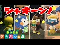 【あつ森】シャンクやあさみさんの前でシャキーンをしてみた、みんなのリアクションが可愛い【Animal Crossing New Horizons】reaction Showmanship