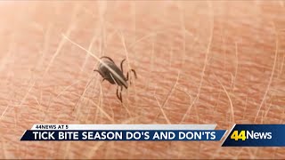 Tick Bites surge in summer months