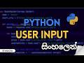 Python User Input (Sinhala Tutorial)