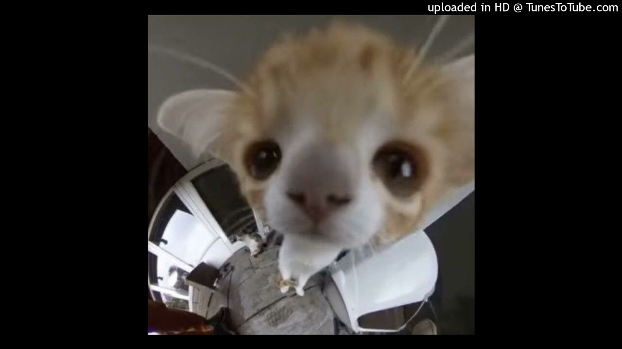 mayot - звезда упала (speed up)