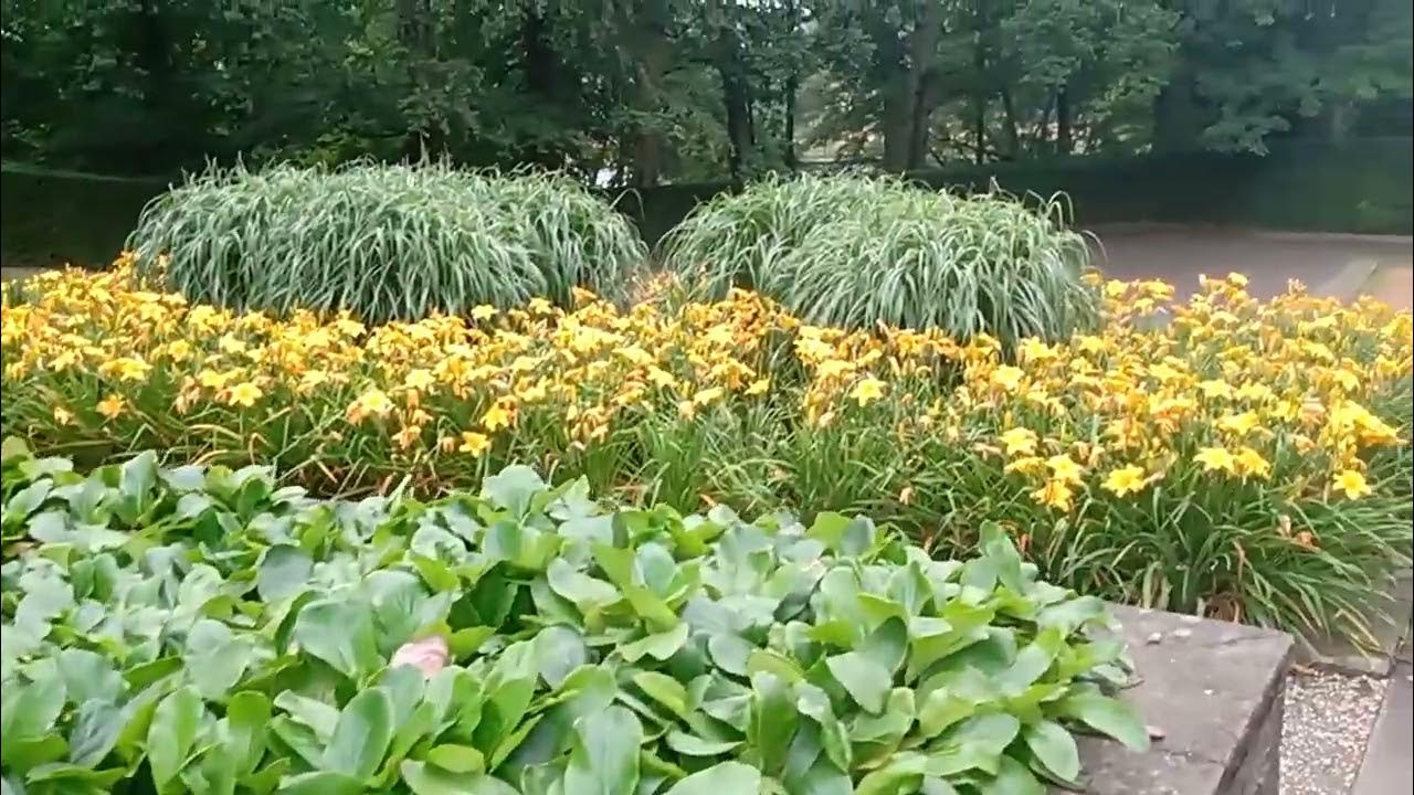 de steile tuin sonsbeek arnhem YouTube