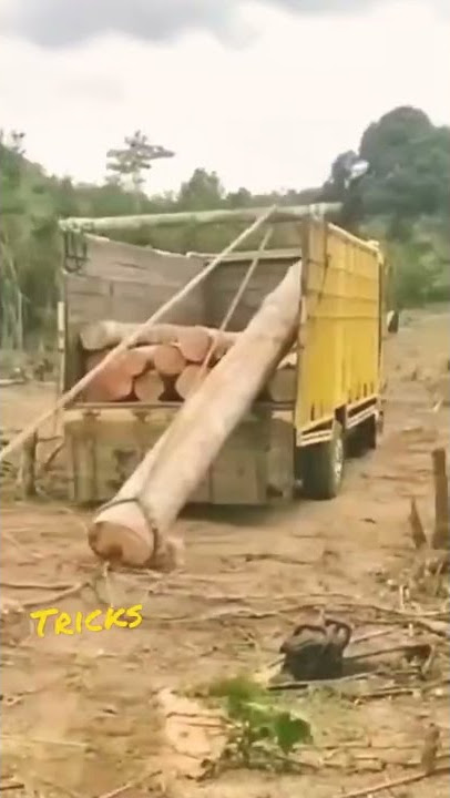 Cara memuat kayu gelondongan ke truk dengan trik ide yang luar biasa 💡