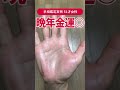【手相実例】晩年金運ヨシ！標準以上のお金を持つ人の手相… #shorts #手相