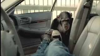 Trunk Monkey - Theft Retrieval System