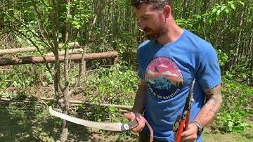 Tree Health Tips: Pruning Young Trees