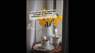 Özlem Özdil 🎼 Yürü Be Haydar 🎼 En Çok Dinlenen Dertli Efkarlı Türküler 🎼