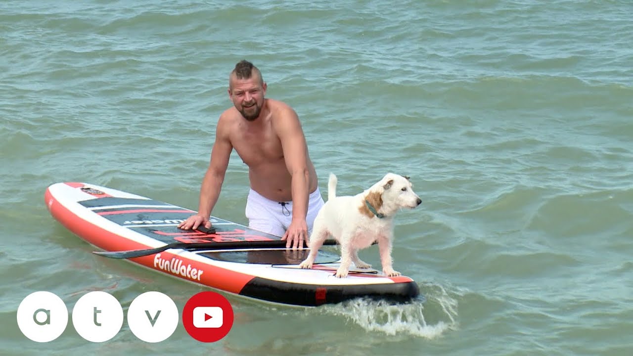 HAZAHÚZÓ – Fonyódi nyár