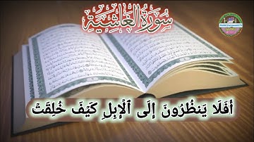 سورة الغاشیة | أفلا ينظرون إلی الإبل کیف خلقت| صوت جمیل للقرآن الکریم | #quran #tilawatequran