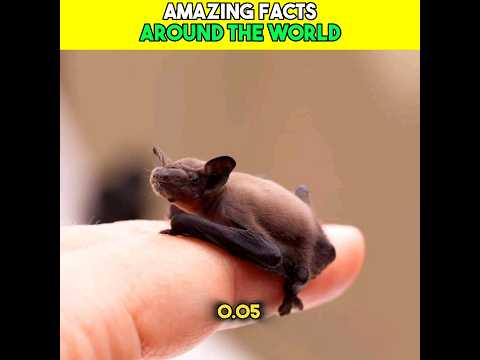 Jaw-Dropping Global Facts