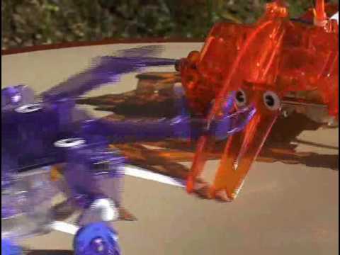 動画
