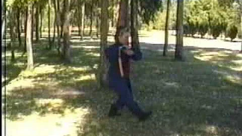 Ray Ket Kim - Espada de Tai Chi -  Master Lilly Ch...