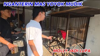 NGANTERIN MAS YOYOK MUDIK